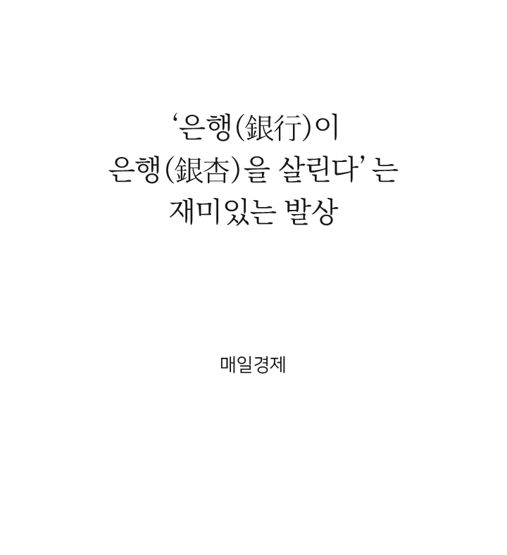 ‘은행(銀行)이 은행(銀杏)을 살린다’는
												재미있는 발상 매일경제
